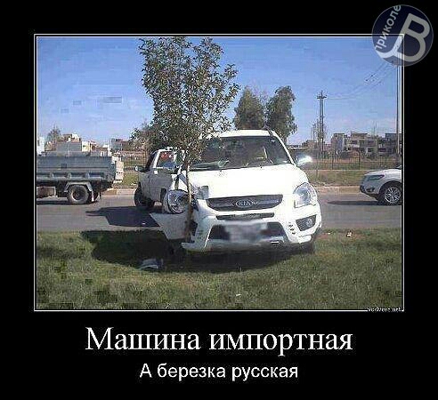 МЗШИНЗ ИМПОРТНЕШ А березка русская