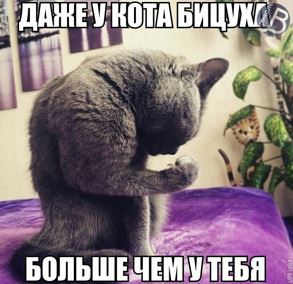 БВЛЬШЕДЕМЁЩЕБП 0101