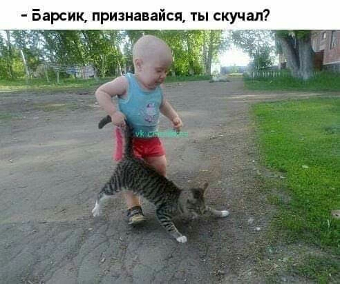 Барсик приавайся ты скучал