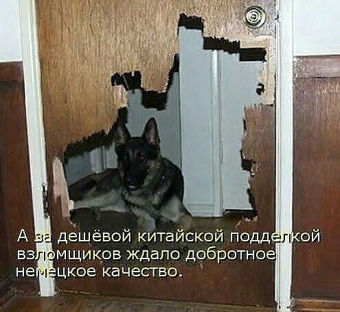 А дешёвой китайской подддпх вз мщиков ждало добротно не цкое качество