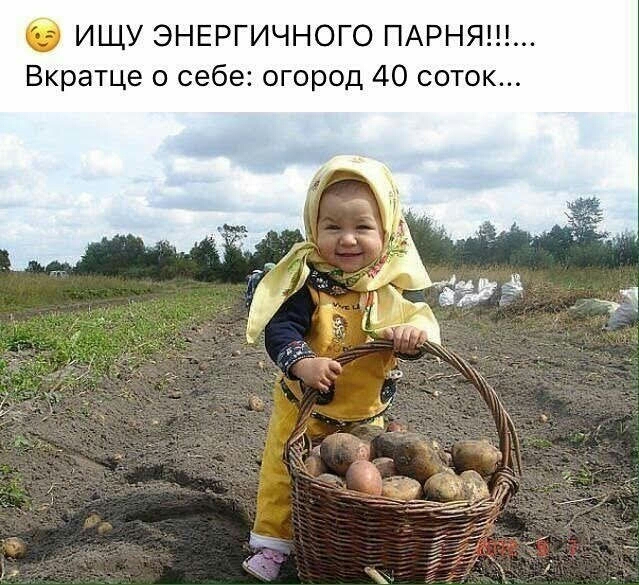 б ИЩУ ЭНЕРГИЧНОГО ПАРНЯ Вкратце о себе огород 40 соток