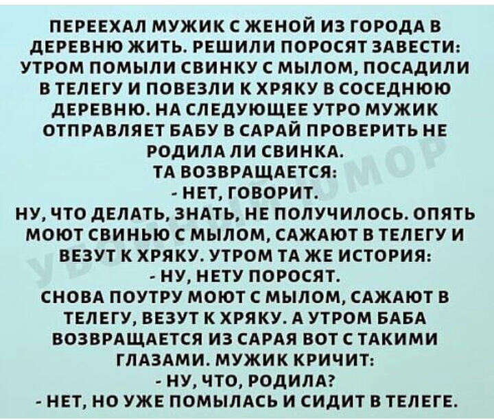 ПЕРЕЕХАЛ МУЖИК С ЖЕНОЙ ИЗ ГОРОДА В дЕРЕВНЮ ЖИТЬ РЕШИЛИ ПОРОСЯТ ЗАВЕСТИ УТРОМ ПОМЫЛИ СВИНКУ С МЫЛОМ ПОСАДИЛИ В ТЕЛЕГУ И ПОВЕЗЛИ К ХРЯКУ В СОСЕДНЮЮ дЕРЕВНЮ НА СЛЕДУЮЩЕЕ УТРО МУЖИК ОТПРАВЛЯЕТ БАБУ В САРАЙ ПРОВЕРИТЬ НЕ РОДИЛА ЛИ СВИНКА ТА ВОЗВРАЩАЕТСЯ НЕТ ГОВОРИТ НУ ЧТО дЕЛАТЬ ЗНАТЬ НЕ ПОЛУЧ ИЛОСЬ ОПЯТЬ МОЮТ СВИНЬЮ С МЫЛОМ САЖАЮТ В ТЕЛЕГУ И ВЕЗУТ К ХРЯКУ УТРОМ ТА ЖЕ ИСТОРИЯ НУ НЕТУ ПОРОСЯТ СНОВА ПОУТР