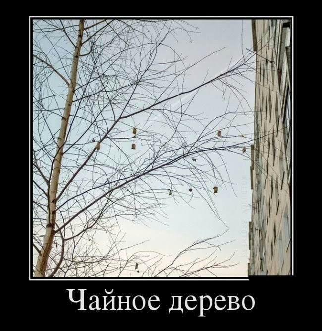 О В 6 р 6 Д 6 О И Й а Ч