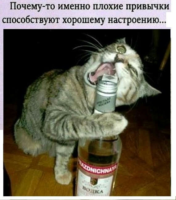 Почему то именно плохие привычки способствуют хорошему настроению