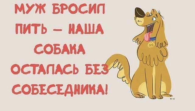 МУЖ БРОСИП ПИТ Ь НАША СОБАКА ОСТАПАСЬ Б 1 СОБЕСЕДНИИА
