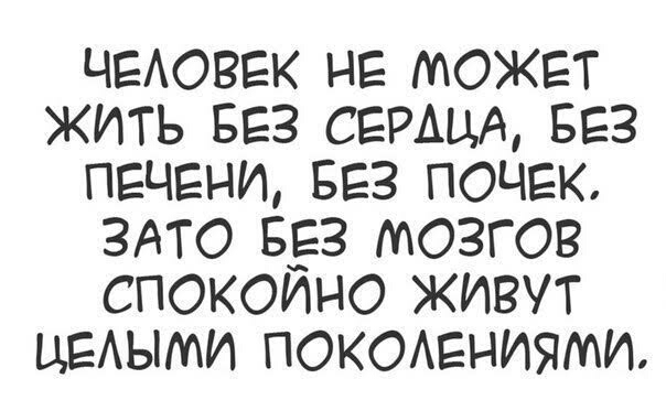 ЧЕАОВЕК не может жить виз семич вез печгнщ вез почек это 553 мозгов спокоино живут ЦЕАЫМИ покомгниыти