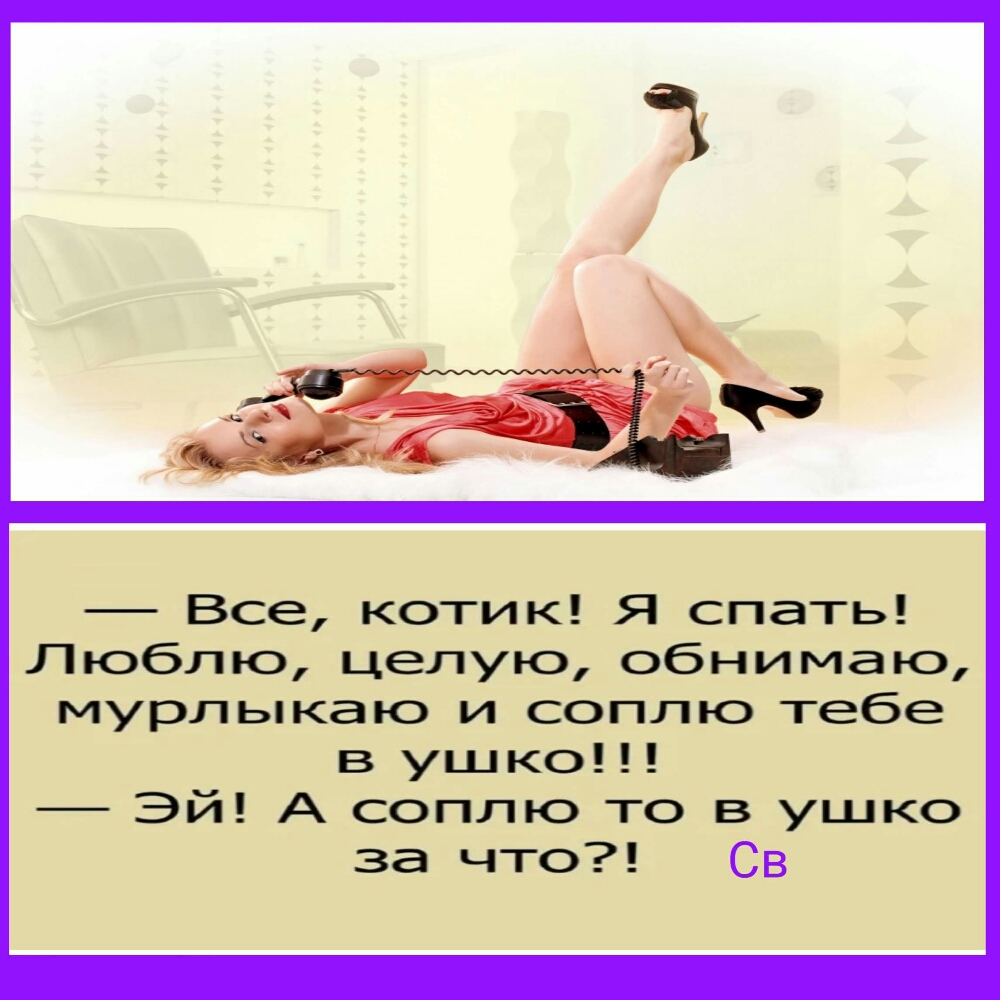 Все котик Я спать Люблю целую обнимаю мурлыкаю и соплю тебе в ушко Эй А соплю то в ушко за что Св