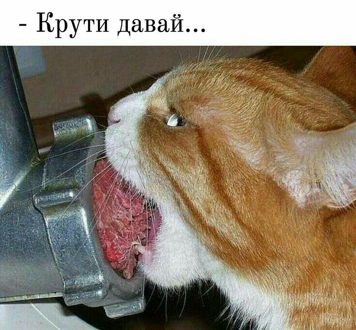 Крути давай