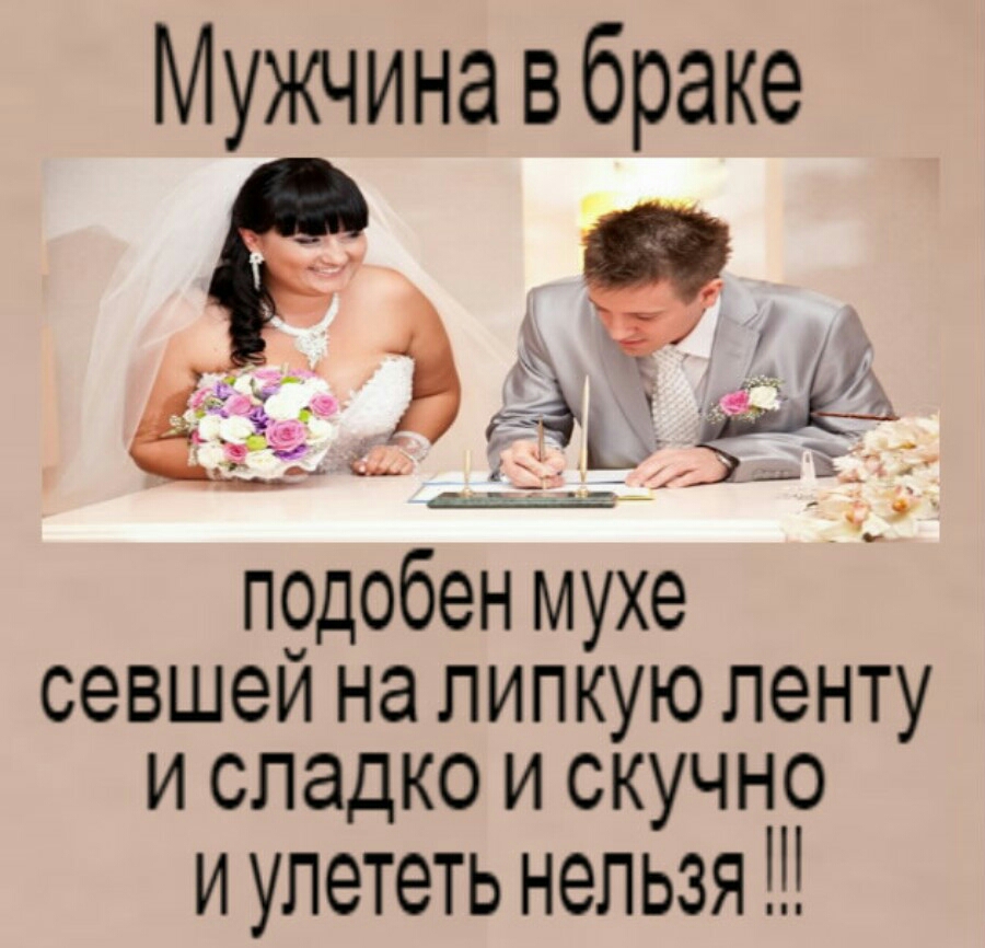Мужчинавбраке п9добен мухе севшеи на липкую ленту и сладко и скучно и улететь нельзя