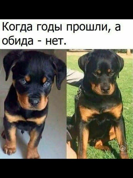 Когда годы прошли а обида нет