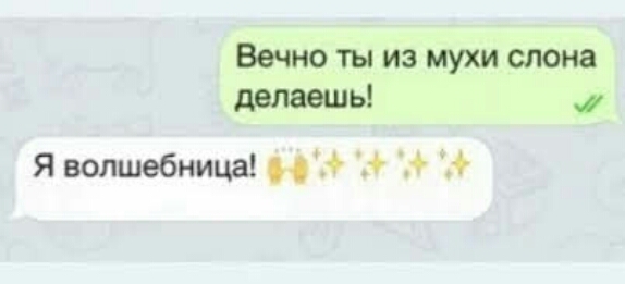 Вечно ты из мухи слона делаешь Я волшебница 6 6