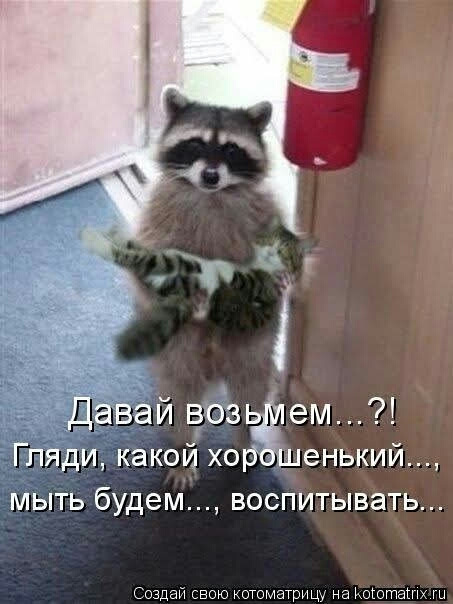 Давай воз ем ГПЯДИ КЭКОЙ ХО енький МЫТЬ будем ВОСПИТЫВаТЬ Создай свою отоматрицу на Ъхоюташх