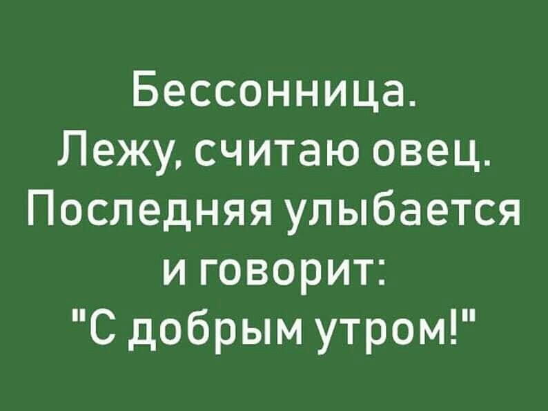 Скажи свежие. Бессонница лежу считаю овец последняя говорит с добрым утром. Считать овец. Лежу считаю овец. Считала овец последняя сказала с добрым утром.