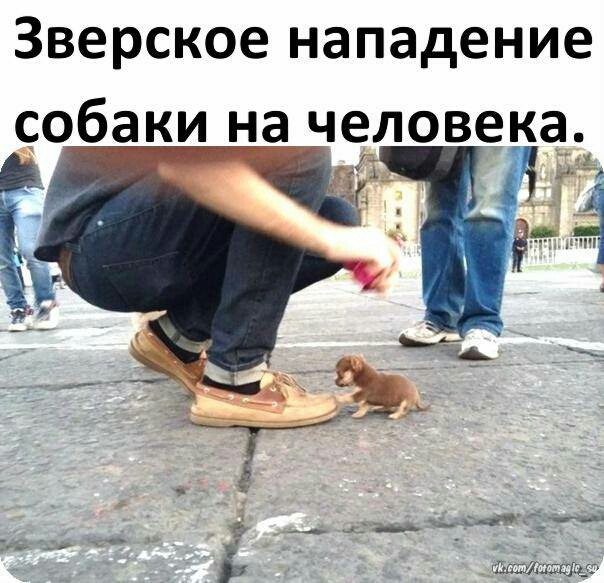 Зверское нападение собаки _на человека Ф 4 Ё тт