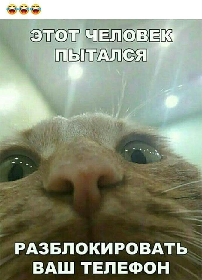 ФиС30236 таэт ВЁЦЁ РАЗБЛОКИРОВАТЬ ВАШ ТЕЛЕФОН