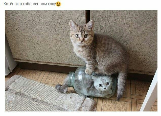 пен Зу юбктвёнік и