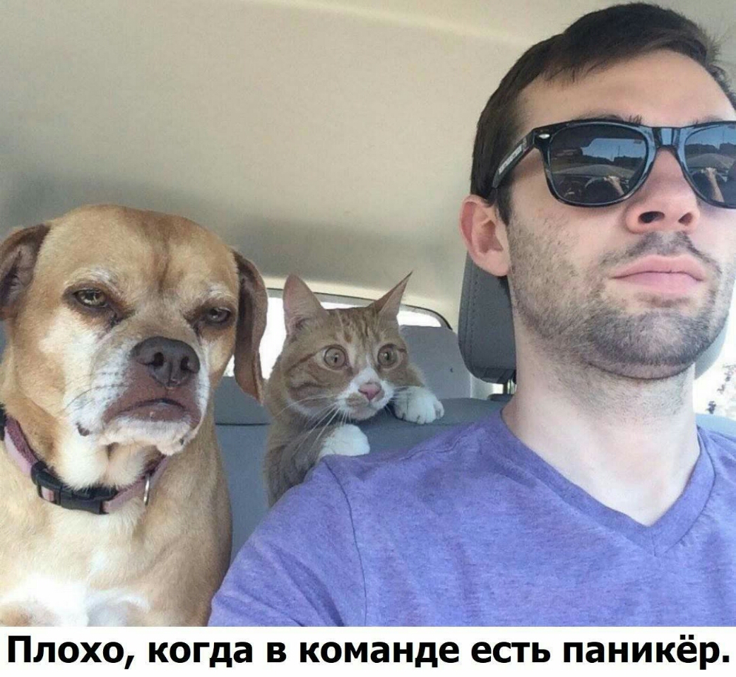 Плохо когда в команде есть паникёр