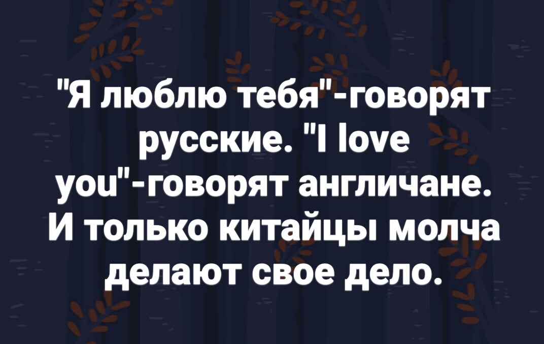 Я люблю тебя говорят русские оче уои говорят англичане И только китайцы молча делают свое дело
