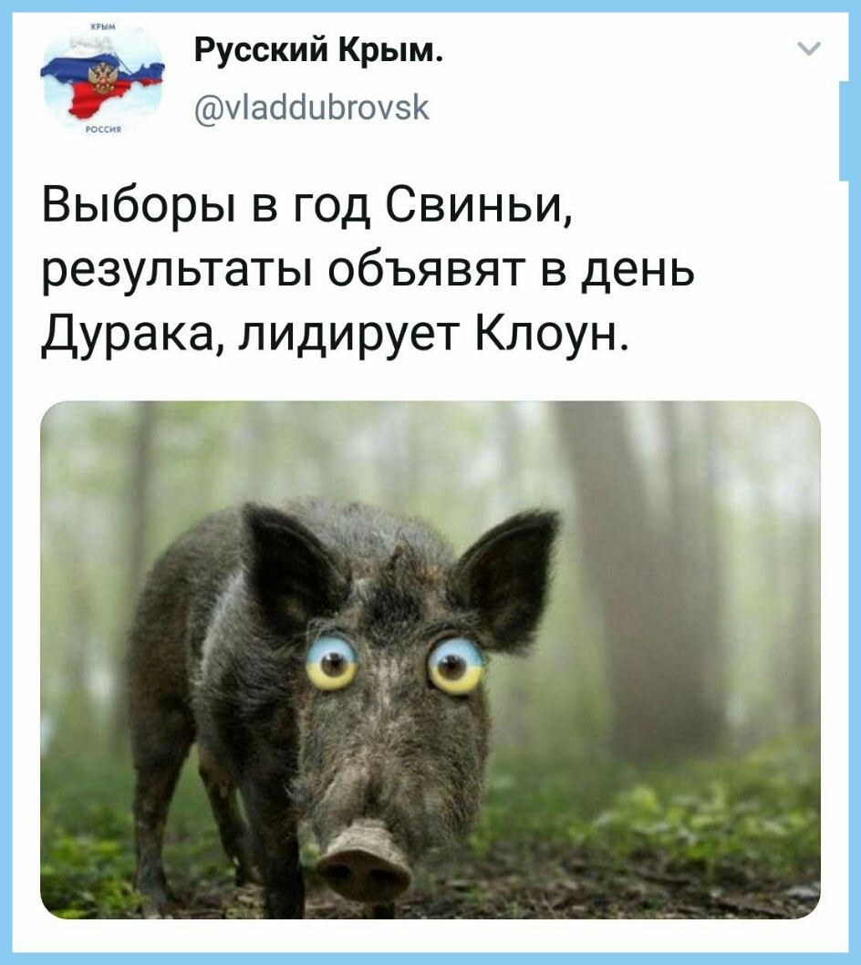 Русский Крым уіабаиЬгоузК Выборы в год Свиньи результаты объявят в день Дурака лидирует Клоун