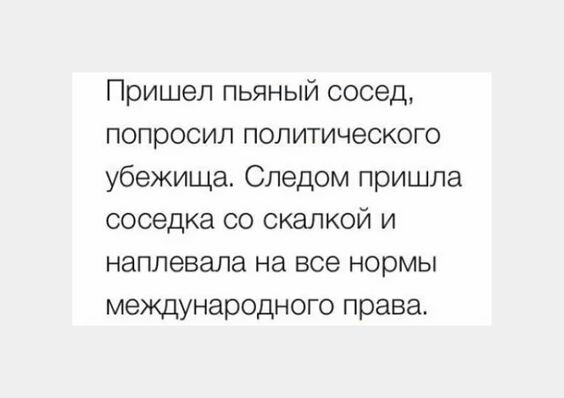 Пришел пьяный сосед попросил политического убежища Следом пришла соседка со скалкой и наплевала на все нормы международного права