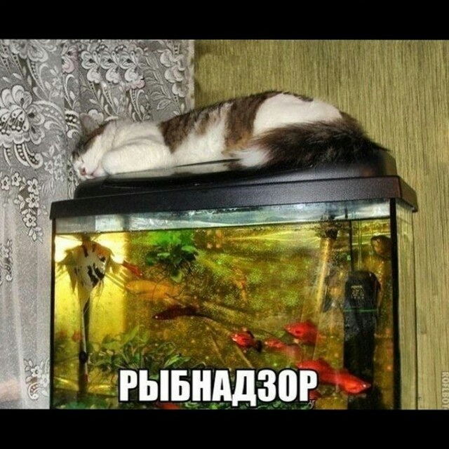 1 рьпнддЗ0В