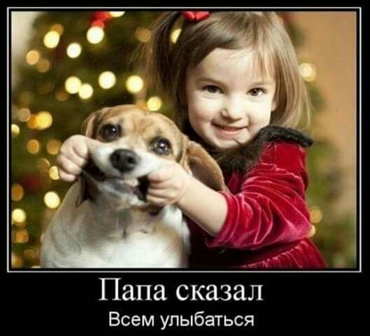 Папа сказал Всем улыбаться