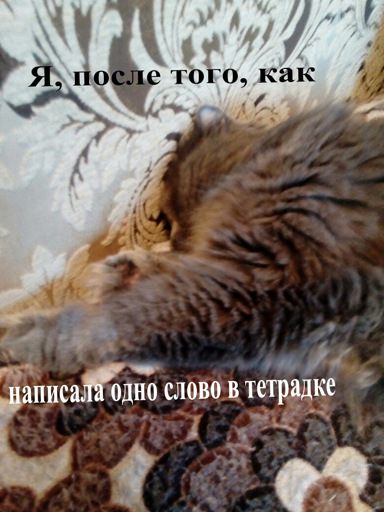 тц гад _ гаписа ОДНО СЛОВО В ТОТраДКО
