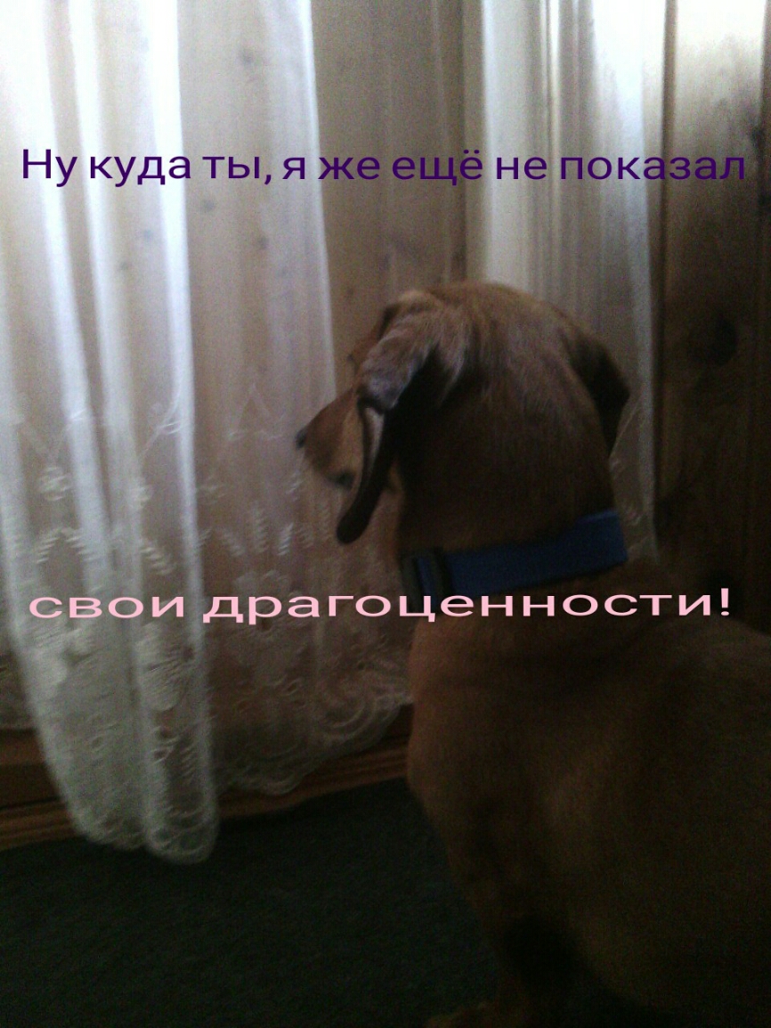 Ну куда ты я