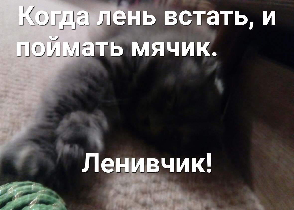 ь Видать и Чик