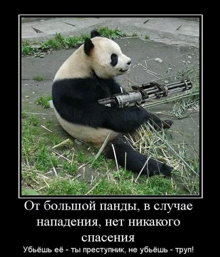 От большой панды в случае нападения нет никакого СПЗССНИЯ Убьёшь её ты преступник не убьёшь труп