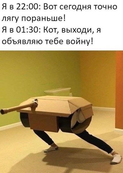Я в 2200 Вот сегодня точно лягу пораньше Я в 0130 Кот выходи я объявляю тебе войну