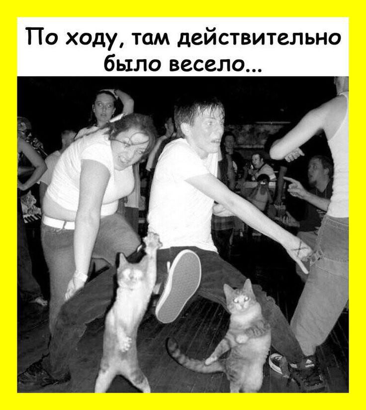 По ходу там действительно было весело