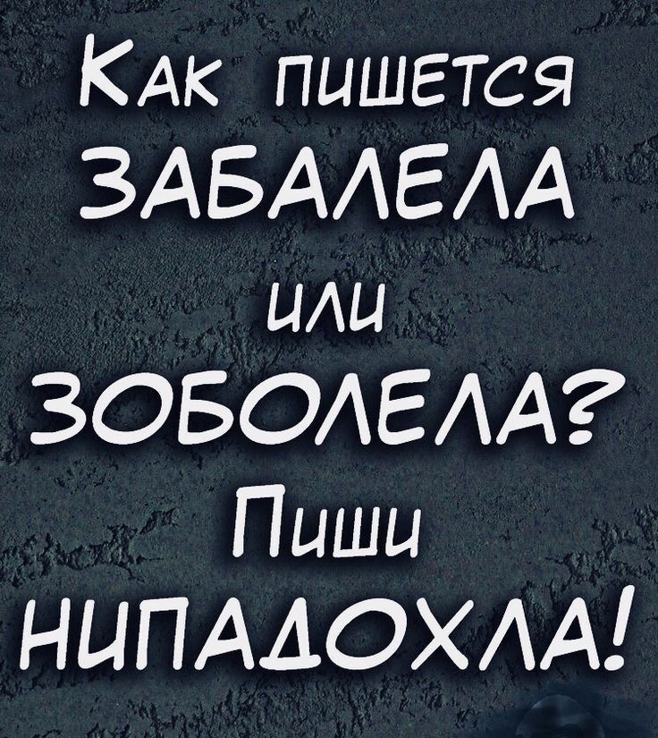 КАк пишется ЗАБААЕАА или ЗОБОАЕАА Пиши НЦПААОХАА