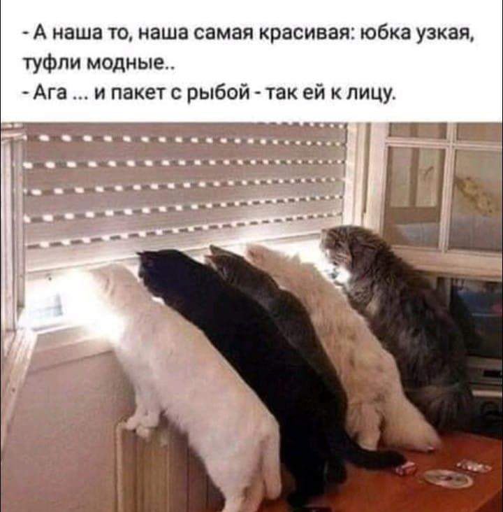 А наша то наша самая красивая юбка узкая туфли модные Ага и пакет с рыбой так ей к лицу