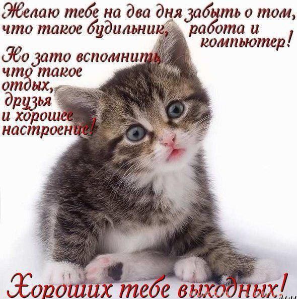 Эеслаю тебе на два дцлдабнть о том что такое будильнше раоотаи компьютер Збодато вспомни _ чт такое