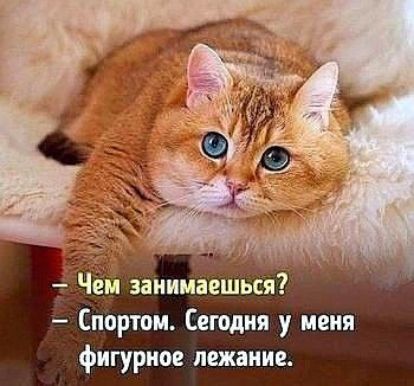 Чеи занииеенндс Спортом Сегодня у меня фигурное пежание
