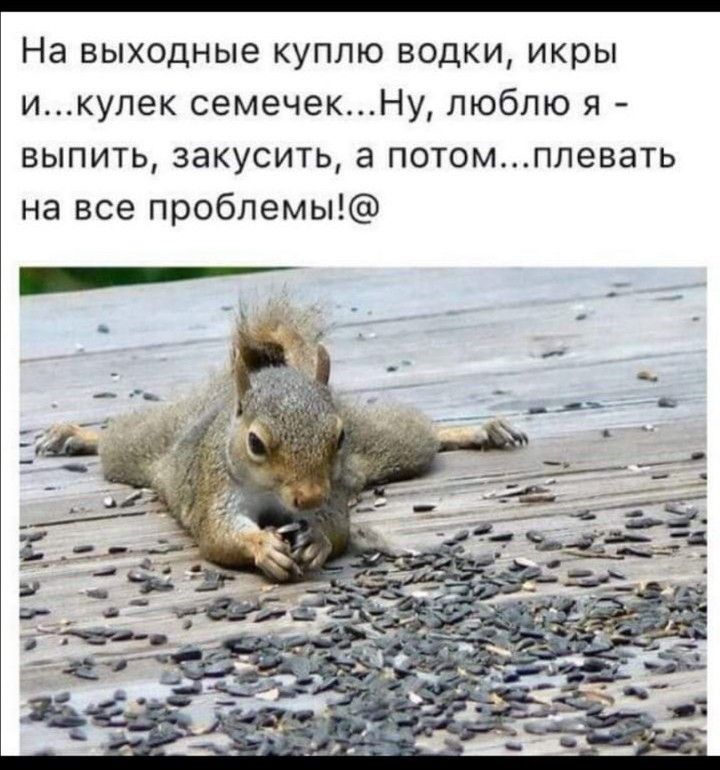 На выходные куплю водки икры икулек семечекНу люблю я выпить закусить а потомплевать на все проблемы