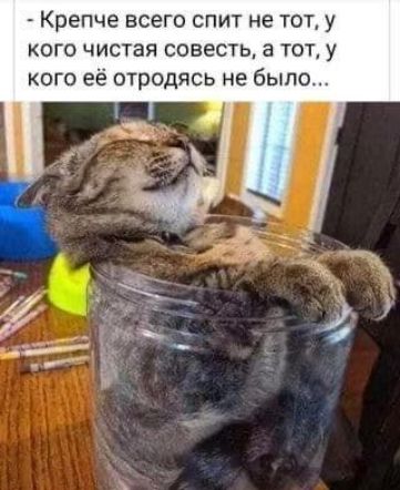 Крепче всего спит не тот у кого чистая совесть а тот у кого её отродясь не было