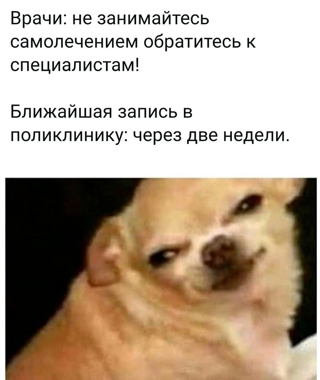 Врачи не занимайтесь самолечением обратитесь к специалистам Ближайшая запись в поликлинику через две недели