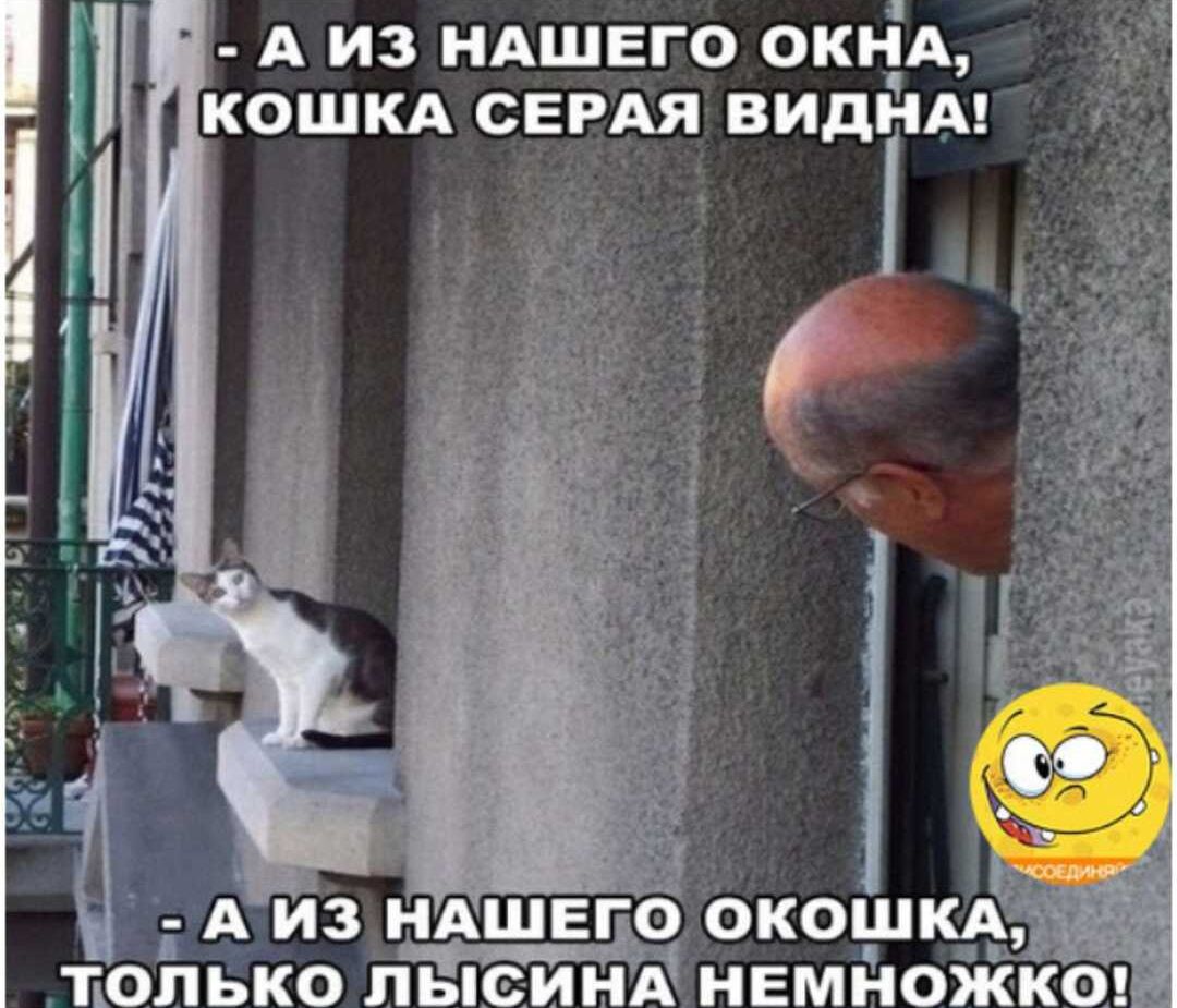 ШЕГПО ОКОШКА ТОПЬКО лЫ И НЕМНОЖКО