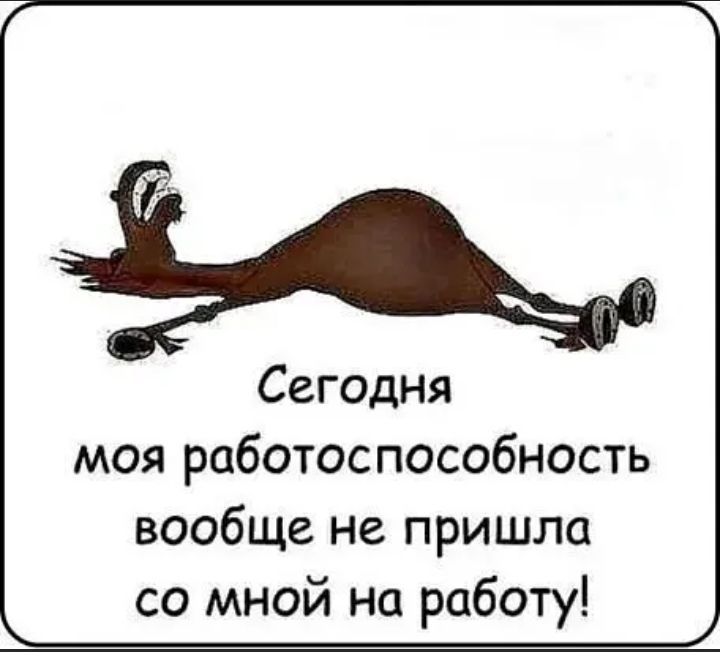 Сегодня моя работоспособность вообще не пришла со мной на работу