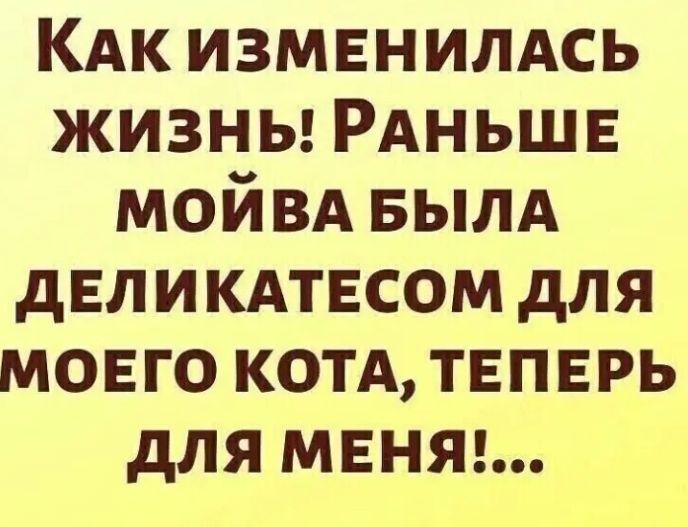 КАК ИЗМЕНИЛАСЬ жизньы РАНЬШЕ МОЙВА БЫЛА ДЕЛИКАТЕСОМ ДЛЯ МОЕГО КОТА ТЕПЕРЬ ДЛЯ МЕНЯ