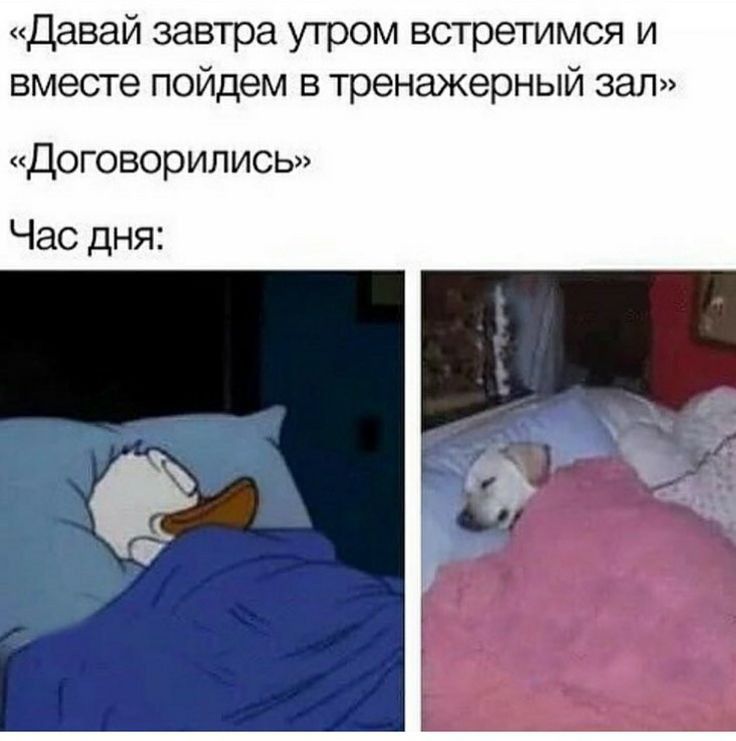 Давай завтра утром встретимся и вместе пойдем в тренажерный зал договорились Час дня