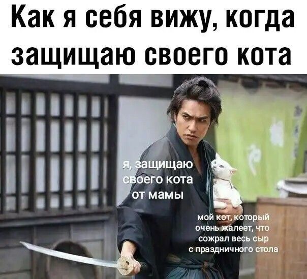 Как я себя вижу когда защищаю своего кота птн _Щищвю ЕГОКОТВ д ідівв отМамы Е и и