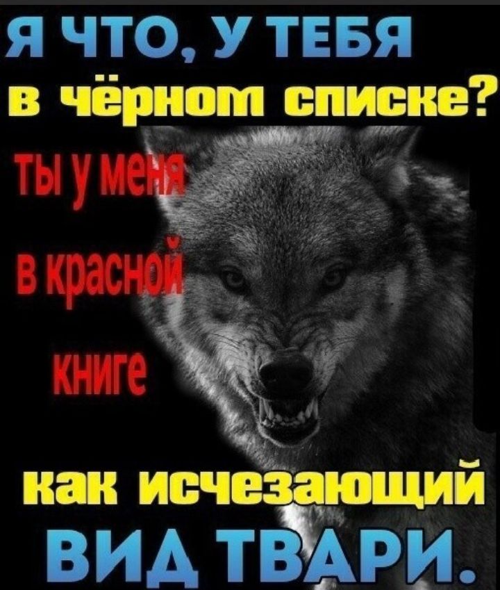 Я ЧТО У ТЕБЯ в чёрном списке на ИЩЁЧШШЙ вид тёАри