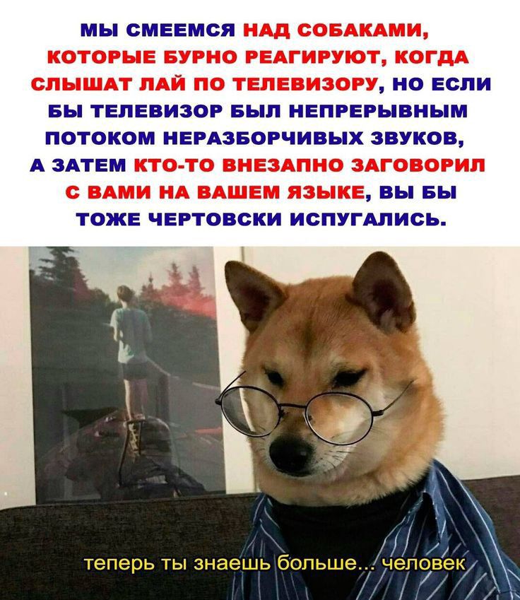 мы смеемся но если вы телевизор Был непрерывным потоком иердзеорчивых авиша А зАтем вы вы тоже чертовски испугшись теперь ты знаешь больше человек