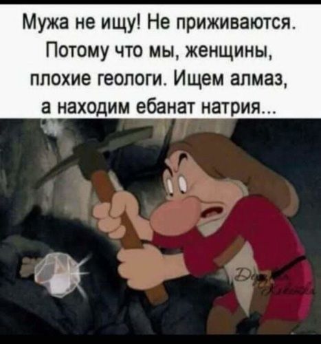 Мужа не ищу Не приживаются Потому что мы женщины плохие геологи Ищем алмаз а находим ебанат натрия