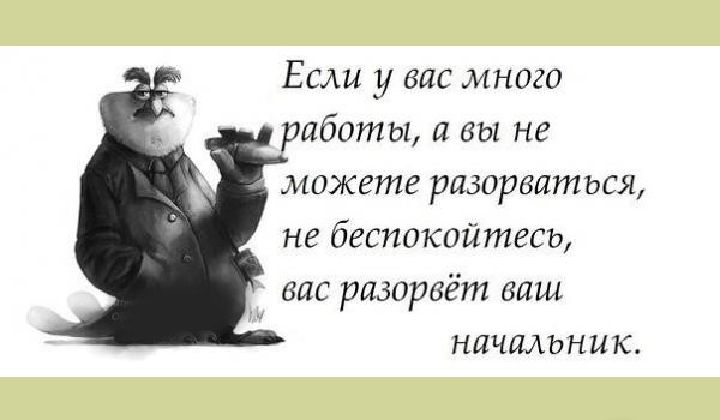 Если _ц вас много работы а вы не можете разорваться не беспакпйтегь вид ридпрвёт шш ничадьни к