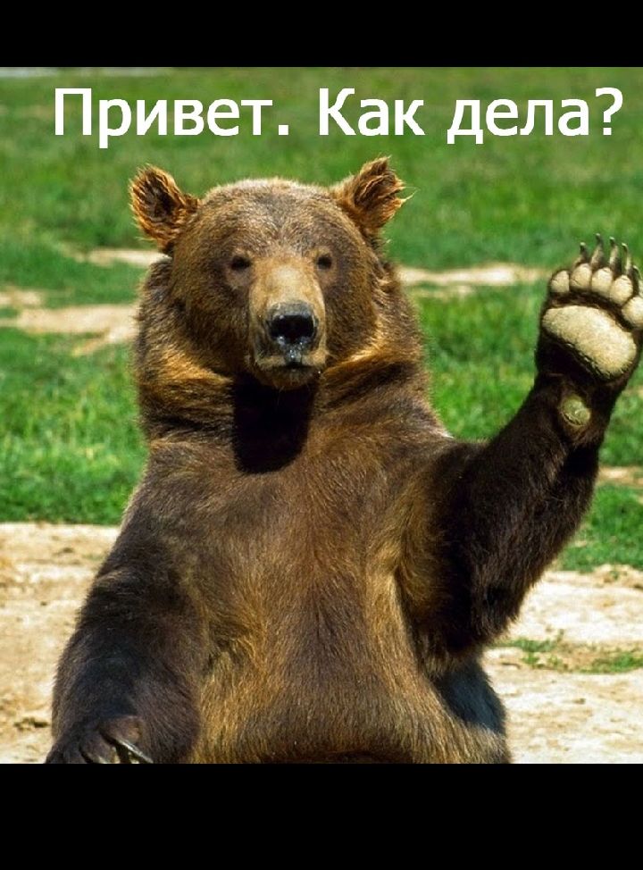 Привет Как дела