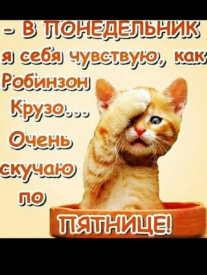 а і_4м ги 3 13ці39 _ьд ы і _цддц Го эд ЗэдУ